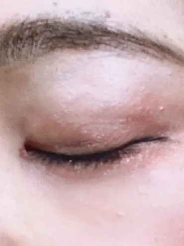 ミスト on LIPS 「今日のメイク 参考 ハウスダストちゃんの秋の地雷メイク ..」
