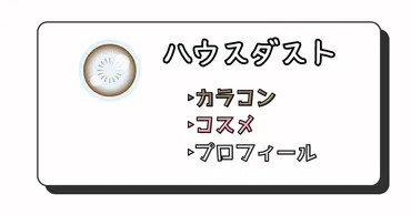 ハウスダストちゃんのプロフィール!カラコン、コスメ情報まとめ