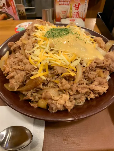 新シリーズ】すき家 ボーノ相模大野店〜とろ〜り3種のチーズ牛丼/キング/デカ盛り/大食い〜【スタート】
