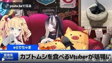 VTUBERの昆虫食を解説