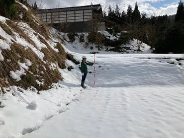 令和6年能登半島地震に伴い若山川沿いに生じた地表地震断層 