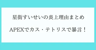 星街すいせい、炎上騒動の真相は？数々の炎上騒動とは！？