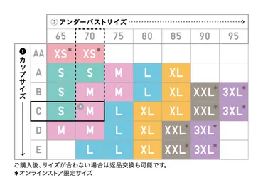 毎日つけていいんです。ブラトップと胸のいい関係♥