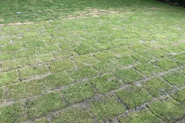 素人田舎暮らし@