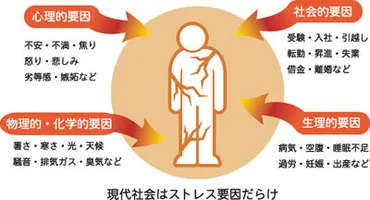 自律神経失調症を徹底解説。原因や症状とは？ 