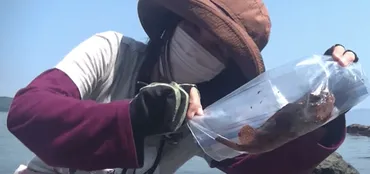 人気釣りYouTuber「わっさむ」ってどんな人？プロフィールや収入、素顔の秘密に迫る！釣り動画で大人気のYouTuber「わっさむ」の魅力とは？