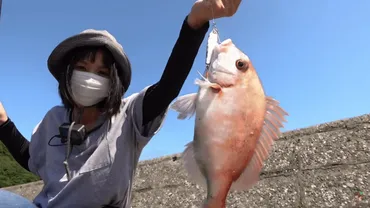 】わっさむの顔バレがマスクなしに！彼氏〜やらせ疑惑についても！