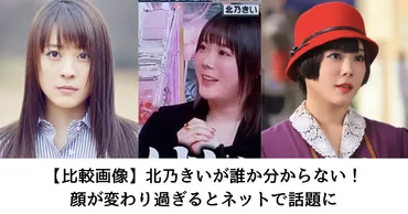 比較画像】北乃きいが誰か分からない!顔が変わり過ぎるとネットで話題に