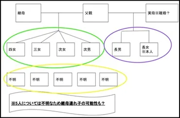 北乃きいの兄弟が人!相関図を見ると父親は一緒で母親が違う?
