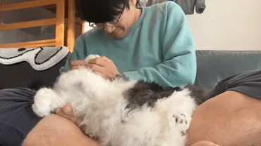 ミキ・亜生が結婚報告💐「猫匹と人間人で協力してがんばっていきます!」