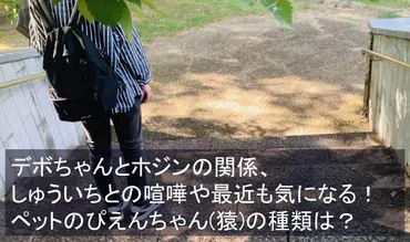 デボちゃんとホジンの関係、しゅういちとの喧嘩や最近も気になる!ペットのぴえんちゃん猿の種類は?
