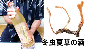 うごめ紀とは何者?素顔や年齢大学や論文の発表についても詳しく!