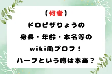 ドロピザ りょうさんとは？：学歴・本名・身長・素顔を徹底解説！ワンピース考察系YouTuber「ドロピザ」りょうさんのプロフィール