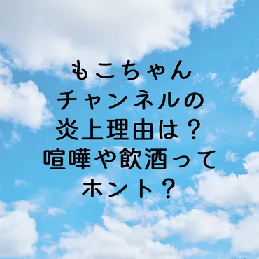 もこちゃんチャンネルの炎上理由は?喧嘩や飲酒ってホント?