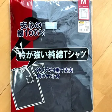 ワークマンで499円の綿Tシャツ着てみた&明日スッキリに出演します