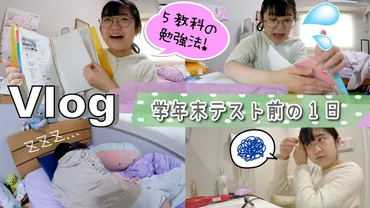 かんあきチャンネル(かんな)の高校はどこ?家が豪邸で間取りも調査!