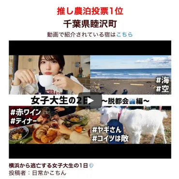 推し農泊1位/YouTuberかこちんさんの宿泊体験 – ファームステイ千葉県むつざわ町