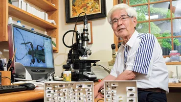 養老孟司86歳「医学部も解剖学に進んだのもすべてなりゆき。人生はくじみたいなものだけど、仕事でもなんでも、やらなきゃいけないことには意味がある」 虫と人を見つめ続けて。振り返ると僕はお釈迦様の掌の上にいた<前編>