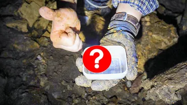 うごめ紀、ニュージーランドで珍しすぎる゛ゴミムシ゛発見の快挙!海外遠征&全身泥だらけの苦労に、「心うごめく」と反響