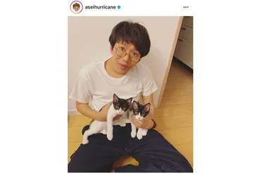 ミキ・亜生、゛タレント゛化が進む愛猫は「#猫界の第7世代」 活躍する姿に驚きの声 