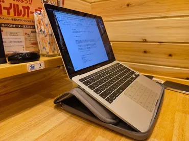 3COINSで1980円の「スタンド付きPCケース」を試したら、ノートPCを立てて使う快適さを再認識した（2/2 ページ） 