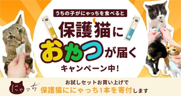 5月25日は保護猫の日。にゃっちを購入で保護猫に寄付ができるキャンペーンがスタート 