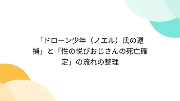 ドローン少年（ノエル）氏の逮捕」と「性の悦びおじさんの死亡確定」の流れの整理 